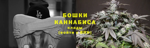 молекула духа Балахна