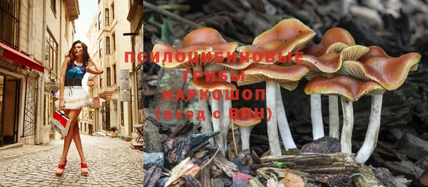 молекула духа Балахна