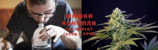 молекула духа Балахна