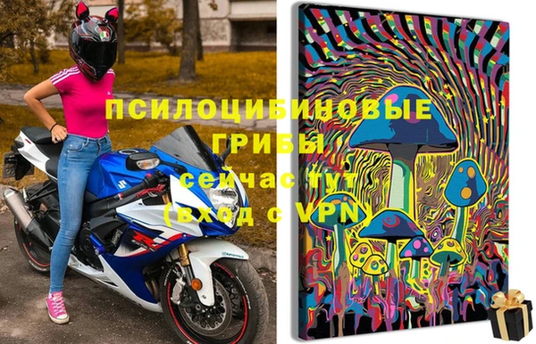 хмурый Балабаново