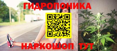 мескалин Гатчина