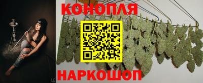 ALPHA PVP Гатчина