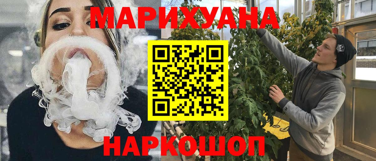 Конопля план Гай